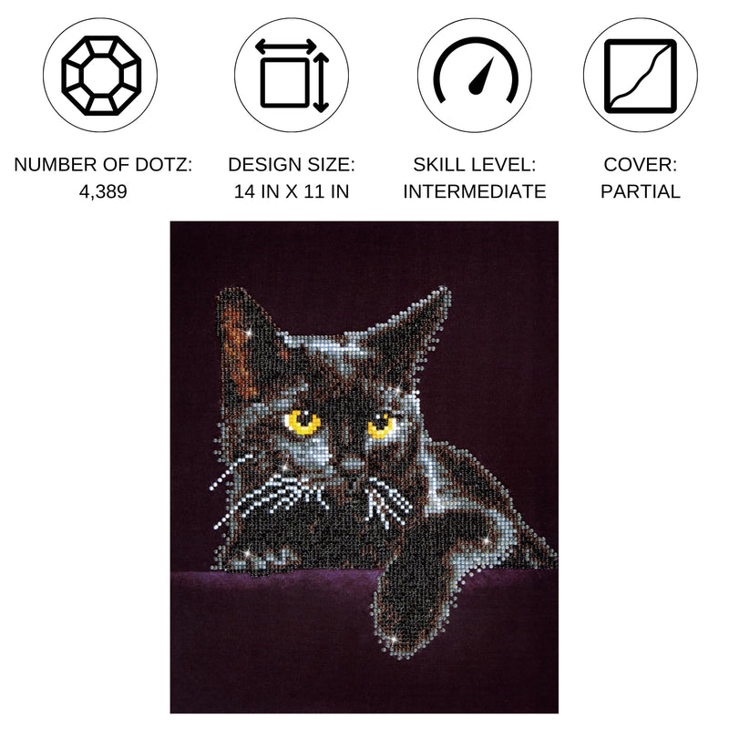 DIAMOND DOTZ - Midnight CAT (14" x 11")