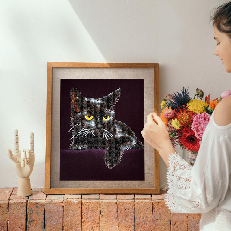 DIAMOND DOTZ - Midnight CAT (14" x 11")