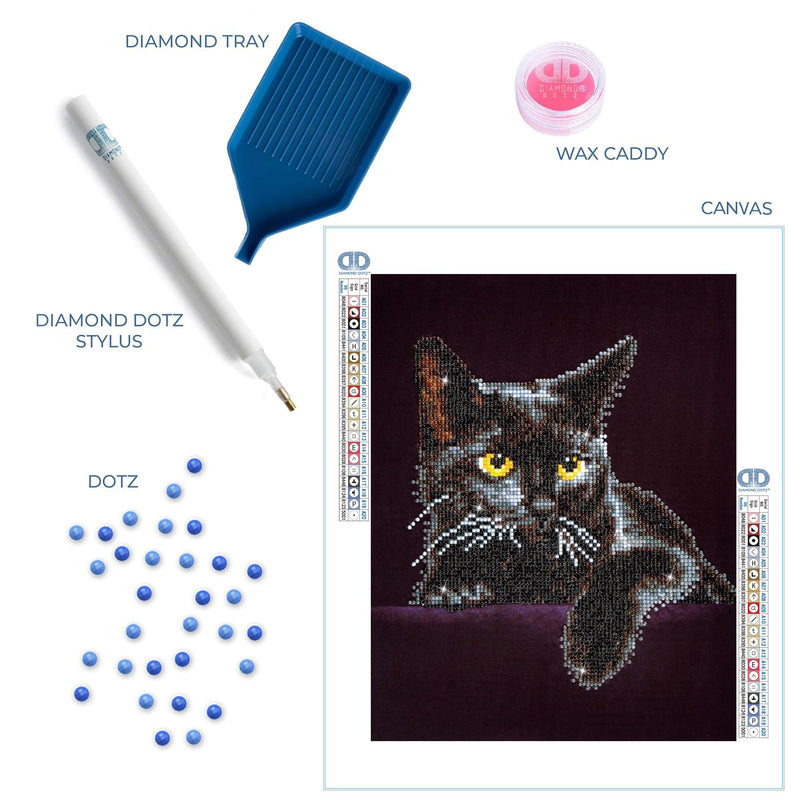 DIAMOND DOTZ - Midnight CAT (14" x 11")