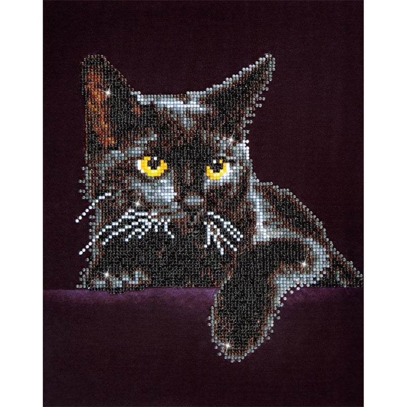 DIAMOND DOTZ - Midnight CAT (14" x 11")