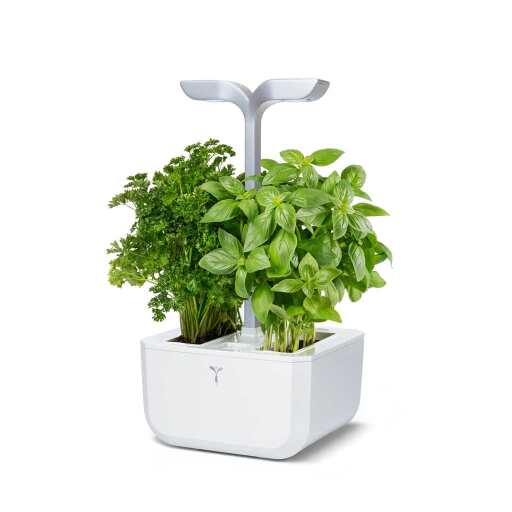 VERITABLE - VERITABLE Exky SMART Arctic White Indoor Garden