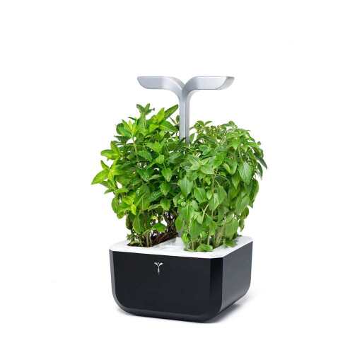 VERITABLE - VERITABLE Exky SMART Soft Black Indoor Garden - Limolin 