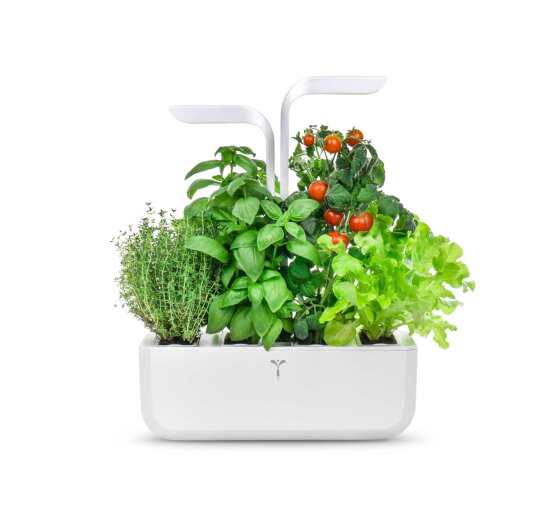 VERITABLE - VERITABLE CLASSIC Indoor Garden - Limolin 