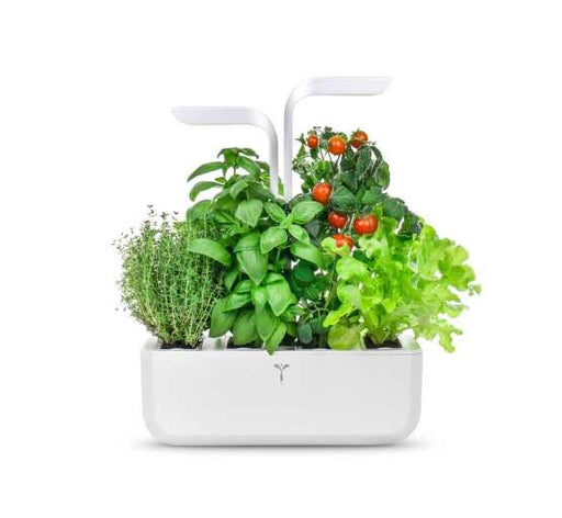 VERITABLE - VERITABLE CLASSIC Indoor Garden - Limolin 