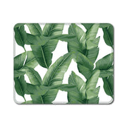 EARTHLY CO - Reusable Paper Towel 10/PK Palm Beach