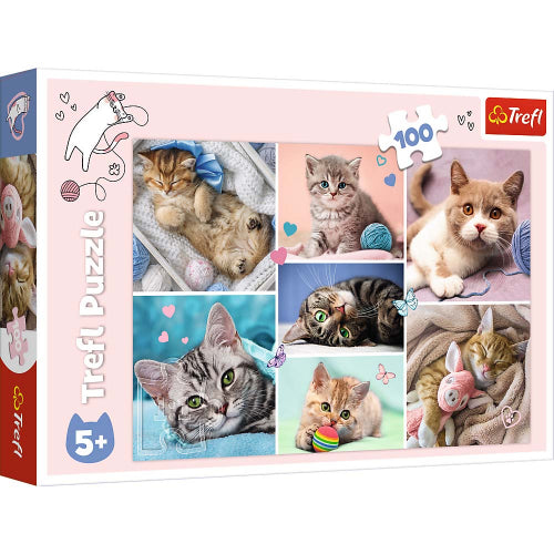 Trefl - PUZZLE - IN THE CAT WORLD - 100pcs