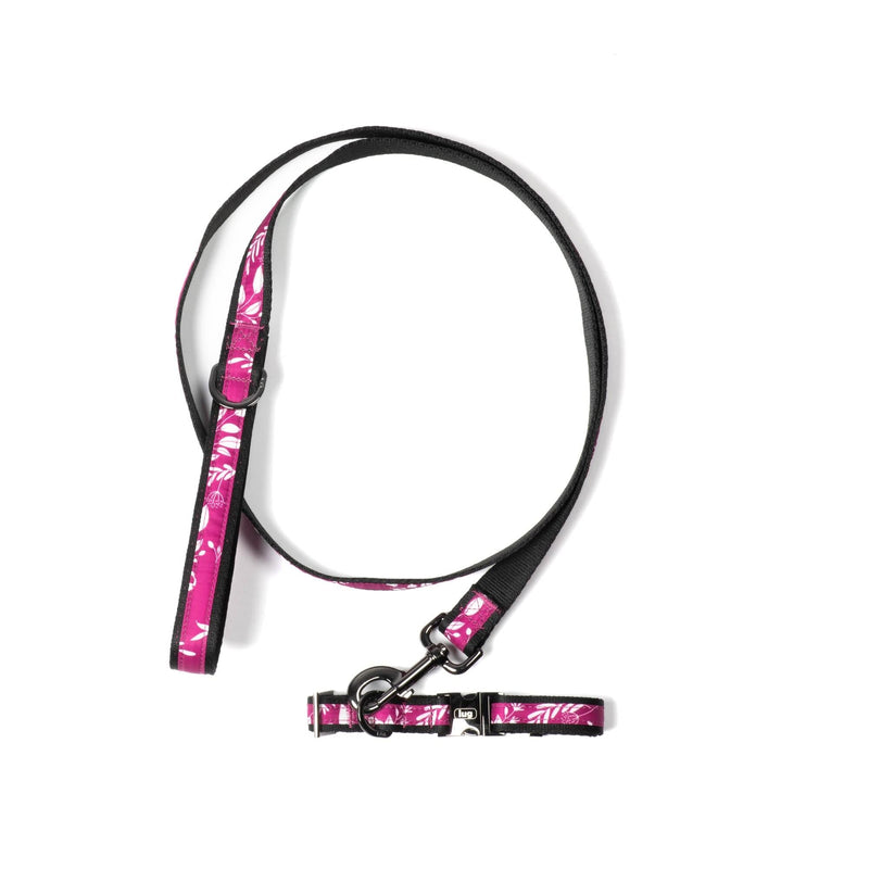 LUG - Fetch Pet Collar and Leash Set
