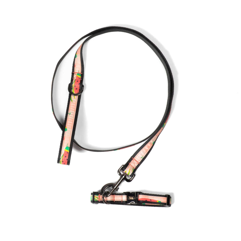 LUG - Fetch Pet Collar and Leash Set