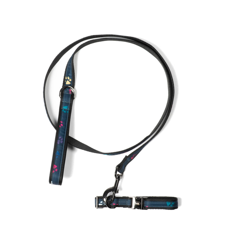 LUG - Fetch Pet Collar and Leash Set