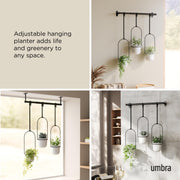 UMBRA - Triflora Hanging Planters, Set of 3 _ White-Black