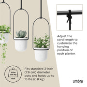 UMBRA - Triflora Hanging Planters, Set of 3 _ White-Black