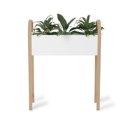 UMBRA - Bellwood Storage & Planter _ White-Natural
