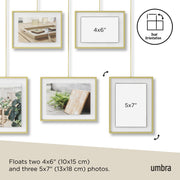 UMBRA - Exhibit Wall Picture Frames, Set of 5 _ Matte-Brass