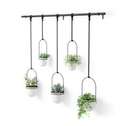 UMBRA - Triflora Hanging Planters, Set of 5 _ White-Black