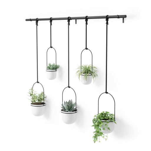 UMBRA - Triflora Hanging Planters, Set of 5 _ White-Black