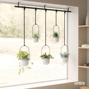 UMBRA - Triflora Hanging Planters, Set of 5 _ White-Black