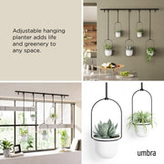 UMBRA - Triflora Hanging Planters, Set of 5 _ White-Black