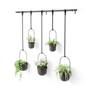 UMBRA - Triflora Hanging Planters, Set of 5 _ Black
