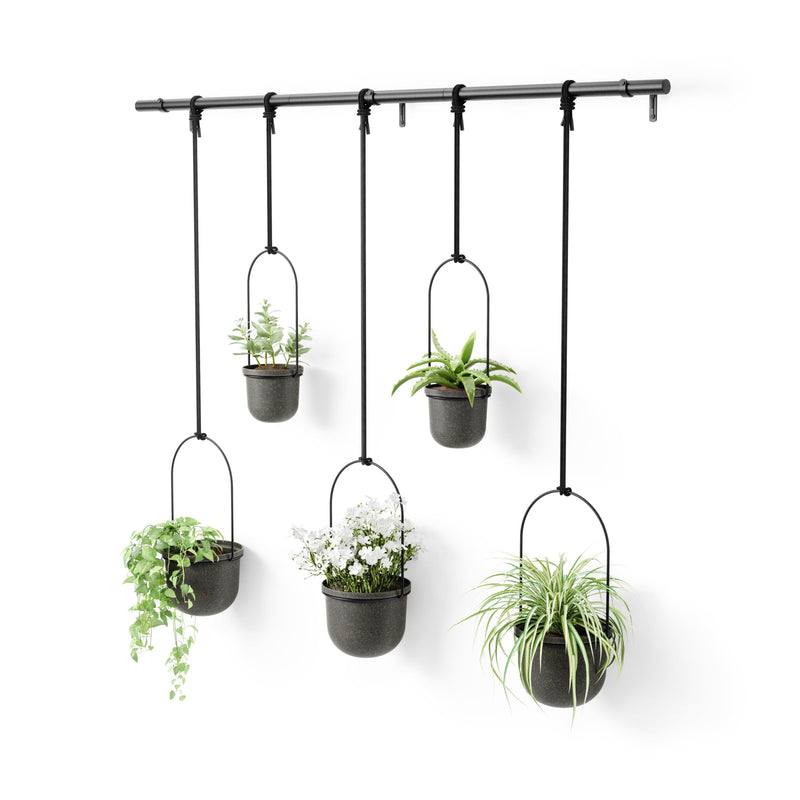 UMBRA - Triflora Hanging Planters, Set of 5 _ Black