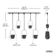 UMBRA - Triflora Hanging Planters, Set of 5 _ Black