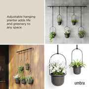 UMBRA - Triflora Hanging Planters, Set of 5 _ Black