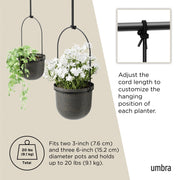 UMBRA - Triflora Hanging Planters, Set of 5 _ Black