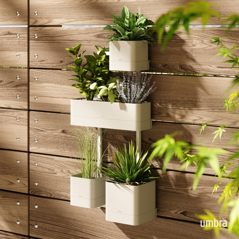 UMBRA - Cubiko Wall Planter _ Sand