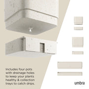 UMBRA - Cubiko Wall Planter _ Sand