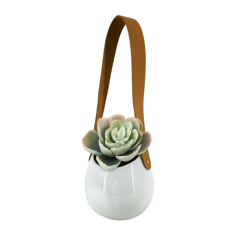 BIA - Hanging Wall Planter