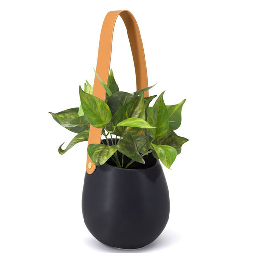 BIA - MURO Hanging Wall Planter