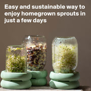 Food Huggers - Sprout Hugger