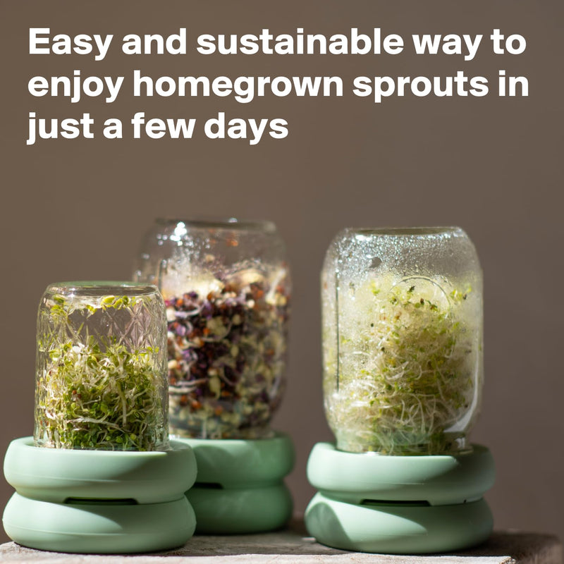 Food Huggers - Sprout Hugger
