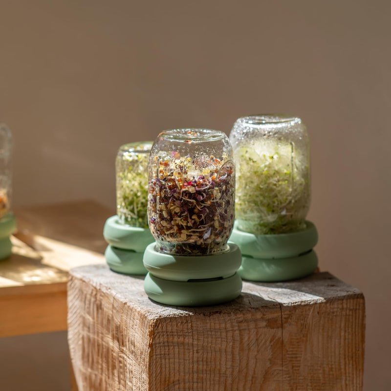 Food Huggers - Sprout Hugger