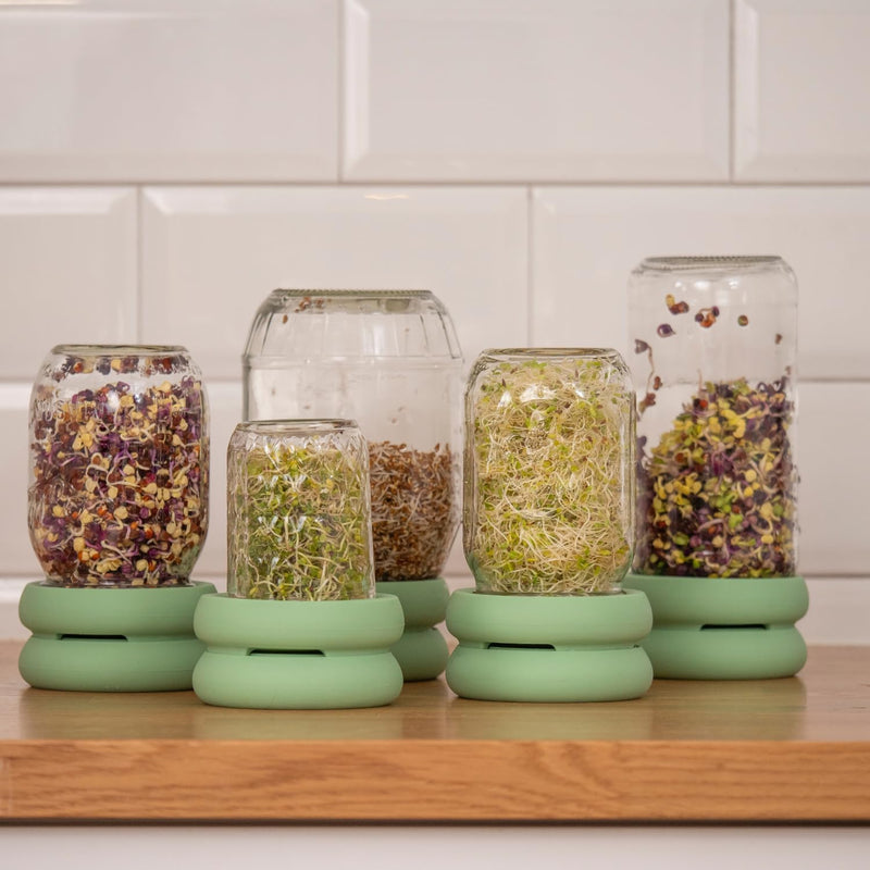 Food Huggers - Sprout Hugger