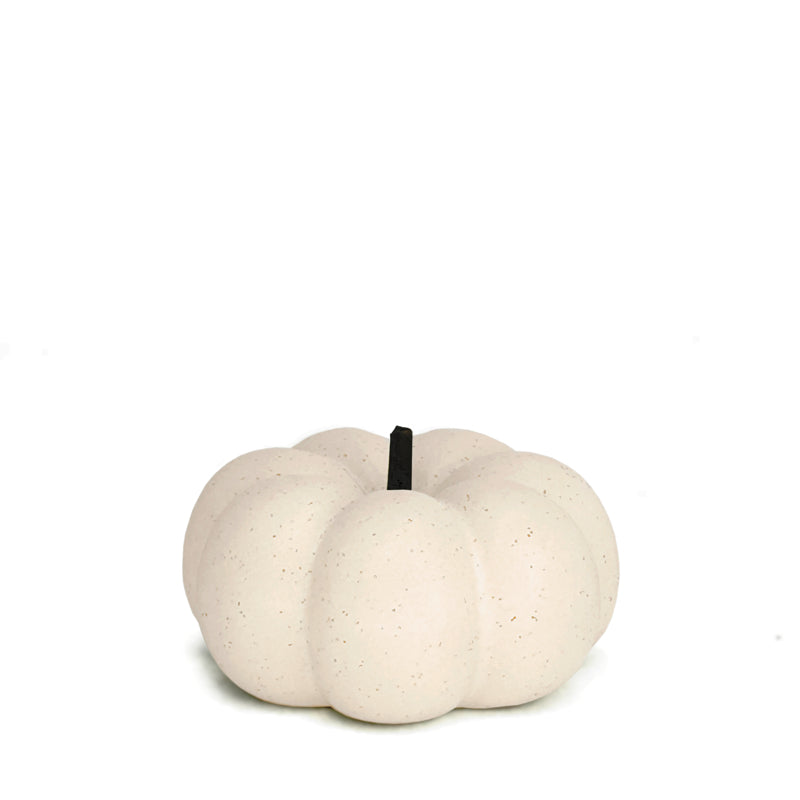 Natural Living - Decorative Pumpkin