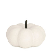 Natural Living - Decorative Pumpkin