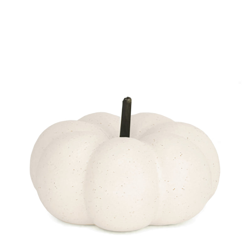 Natural Living - Decorative Pumpkin