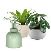 Natural Living - Plant Mister - Sage — sage plant mister with plants.