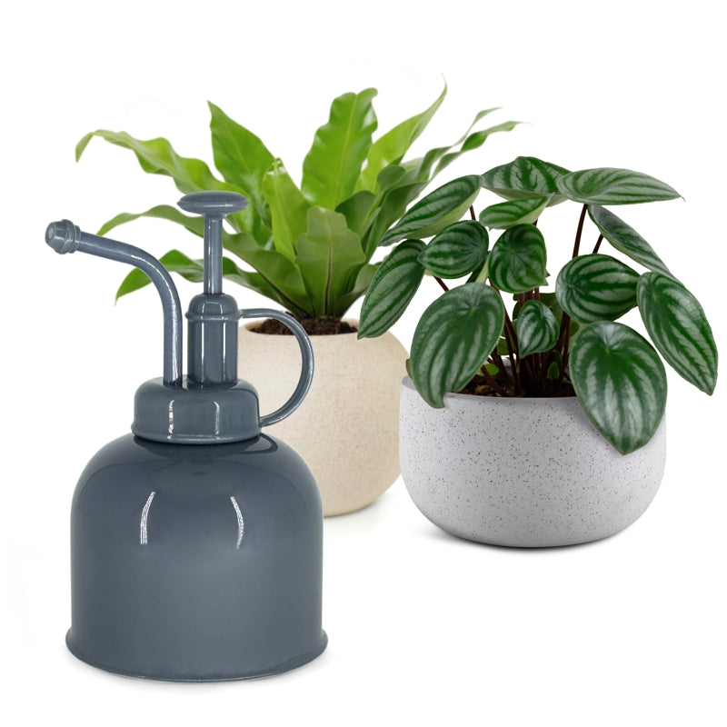 Natural Living - Plant Mister
