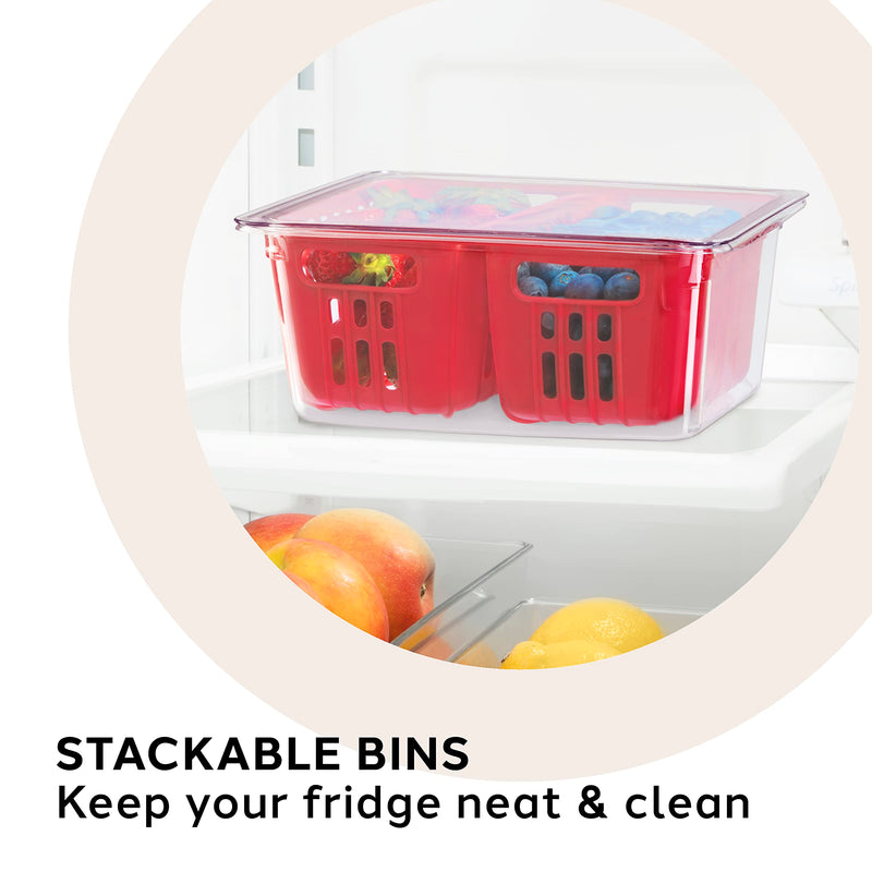 OGGI - Neat™ Double Berry Bin