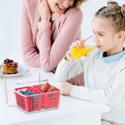 OGGI - Neat™ Double Berry Bin