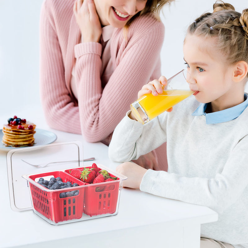 OGGI - Neat™ Double Berry Bin