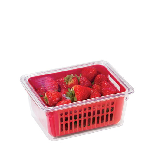 OGGI - Neat™ Single Berry Bin