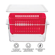 OGGI - Neat™ Single Berry Bin