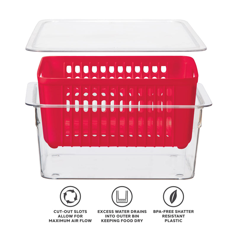 OGGI - Neat™ Single Berry Bin