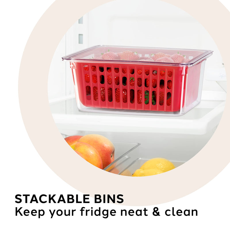 OGGI - Neat™ Single Berry Bin