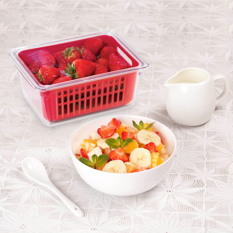OGGI - Neat™ Single Berry Bin