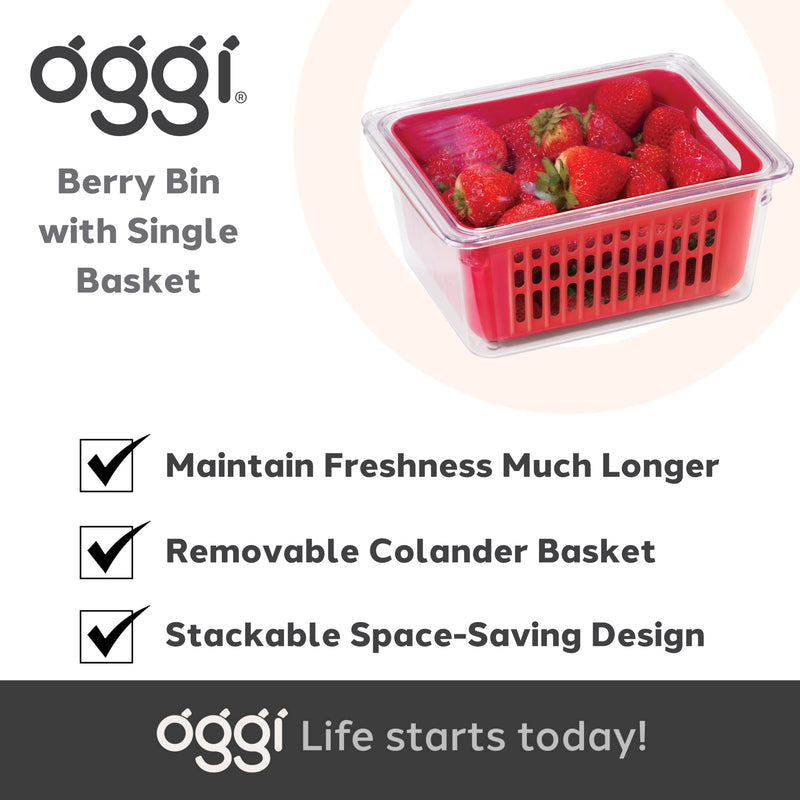 OGGI - Neat™ Single Berry Bin
