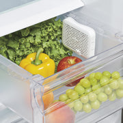 OXO - GREEN SAVER™ Crisper Insert
