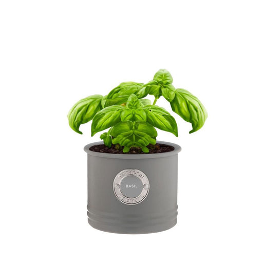 TYPHOON - LIVING Herb Planter